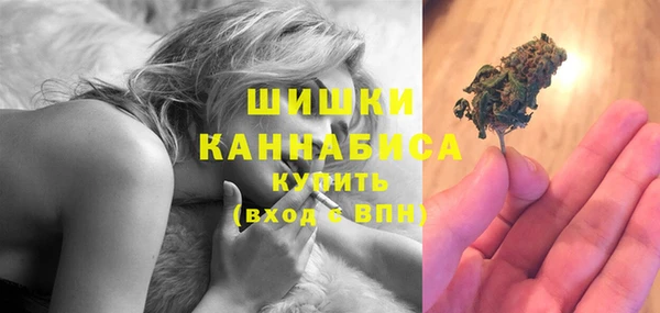 крисы Зерноград