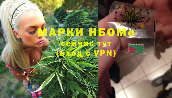 крисы Зерноград