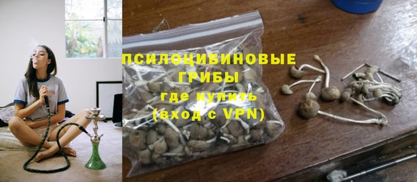 крисы Зерноград