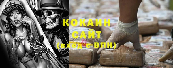 крисы Зерноград
