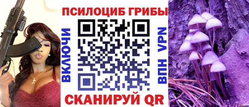 Галлюциногенные грибы GOLDEN TEACHER  Купить где  Кашира 